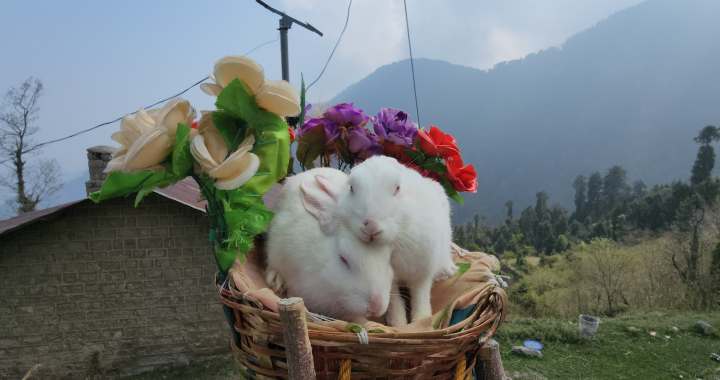 Khajjiar Accommodation