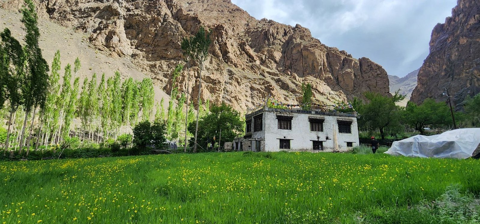 Tar Village Ladakh