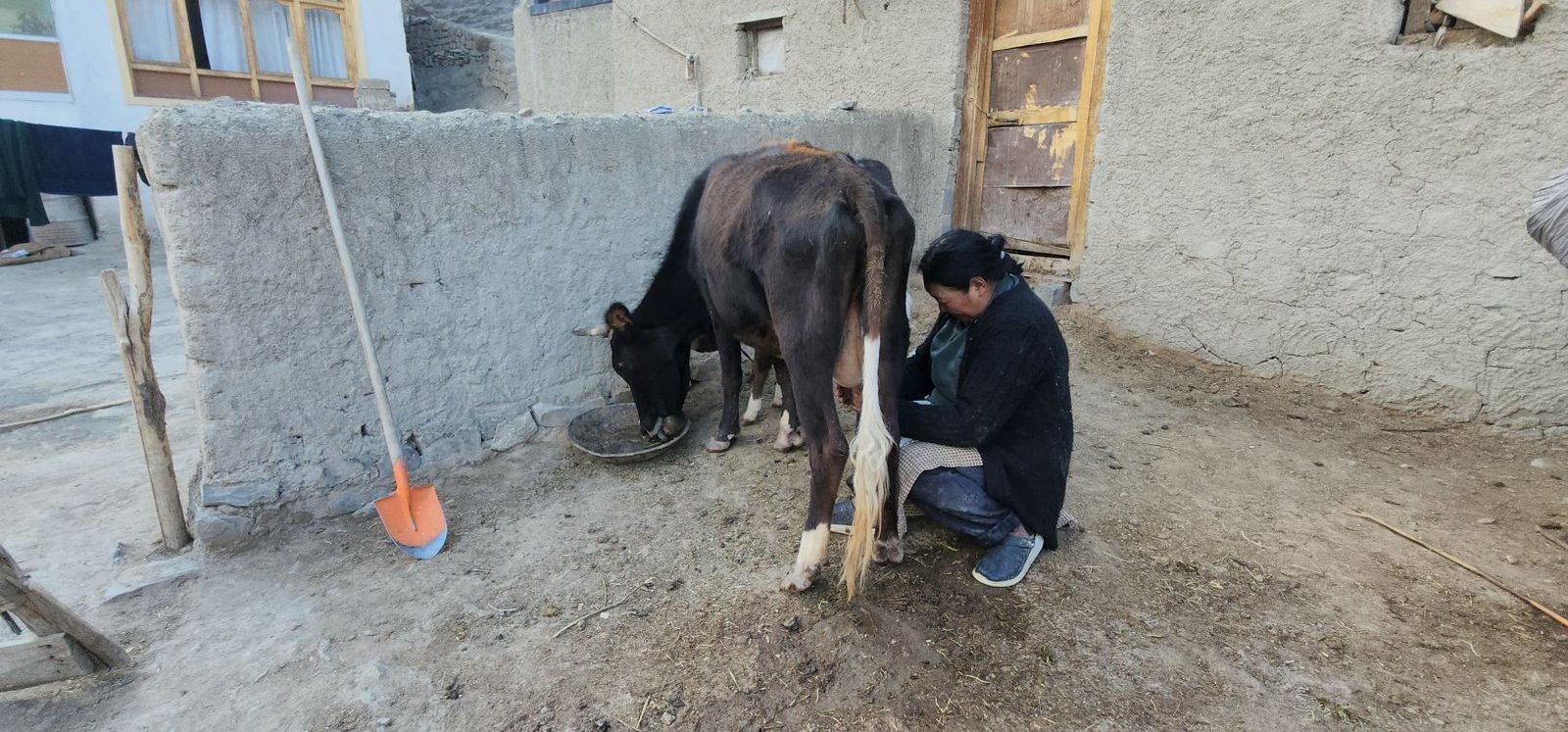 Tar Village Ladakh