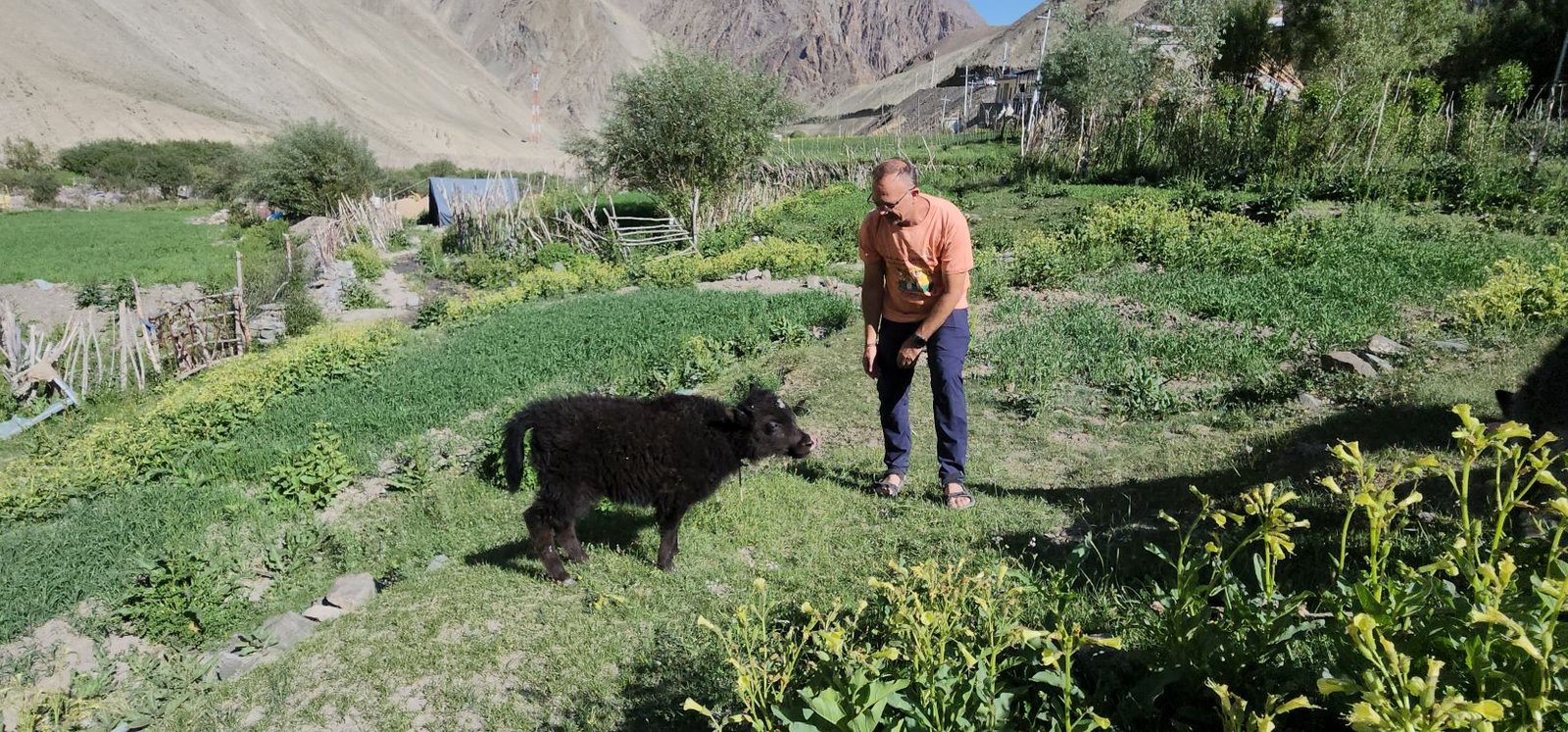 Tar Village Ladakh