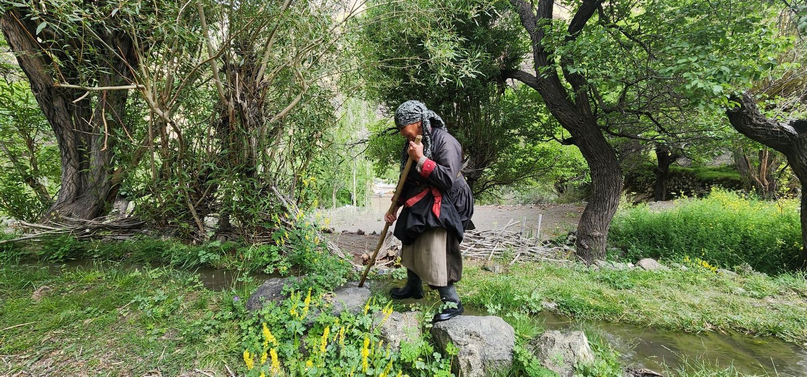 Tar Village Ladakh