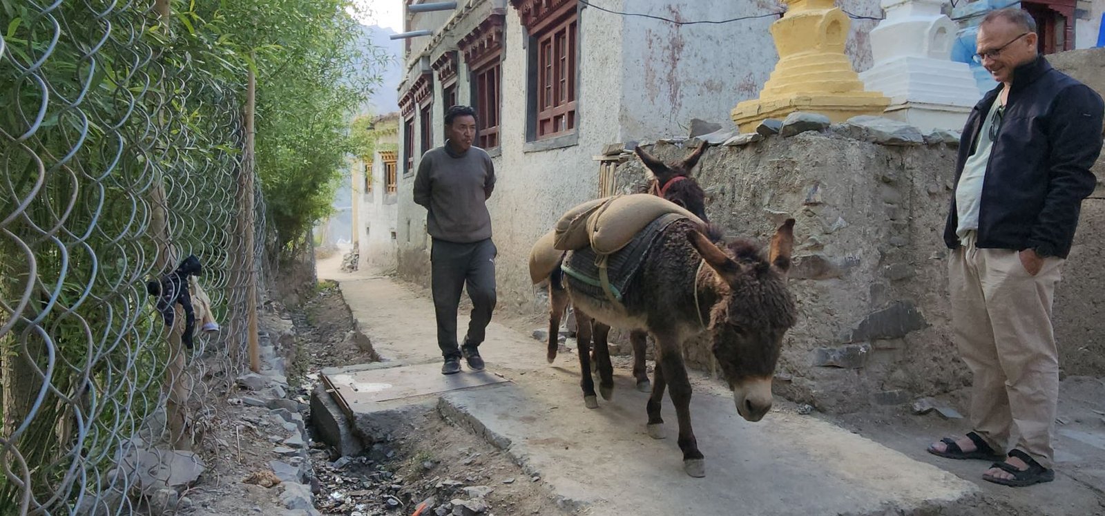 Tar Village Ladakh