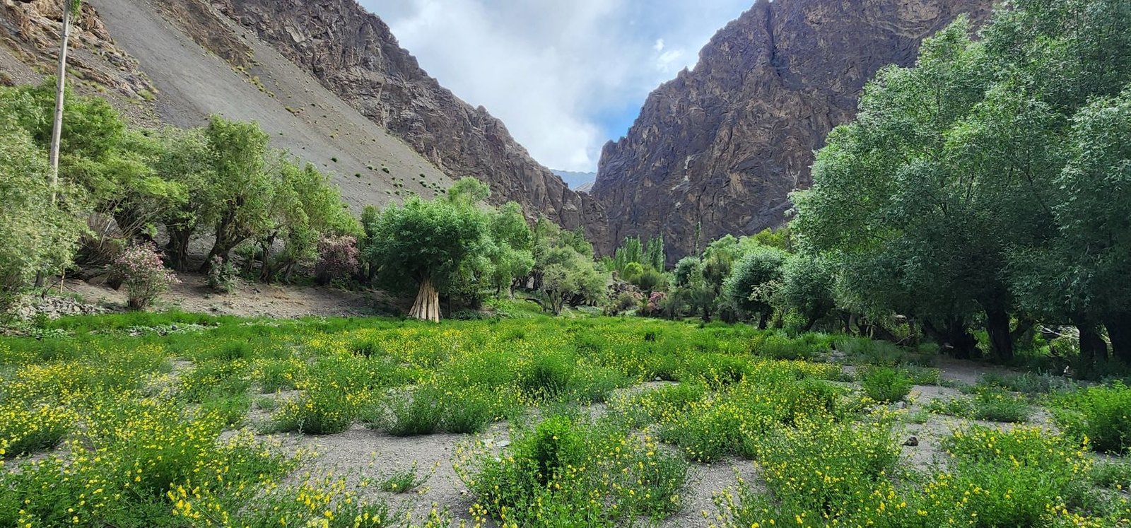 Tar Village Ladakh