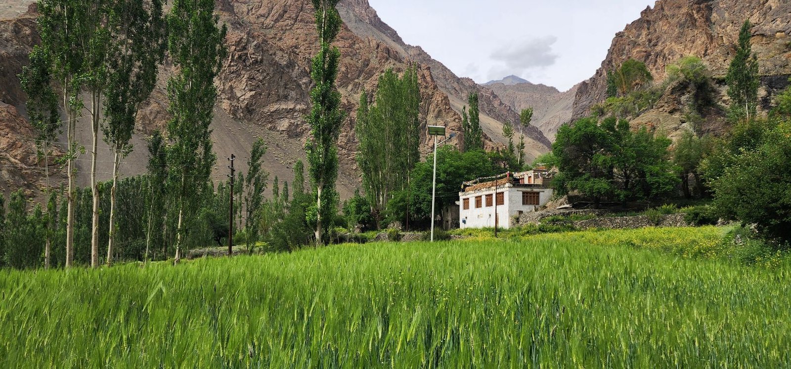 Tar Village Ladakh