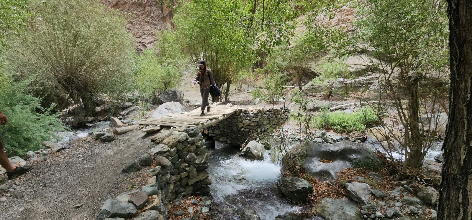 Tar Village Ladakh