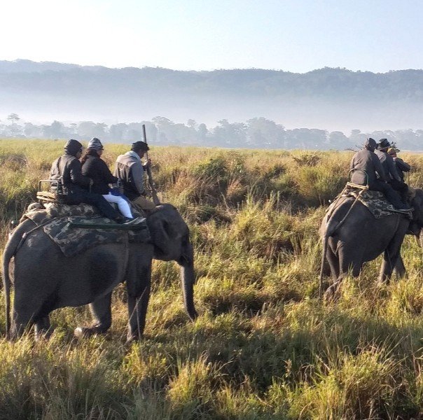 Explore The Unexplored Northeast India: A Journey Through India’s Most Beautiful and Untouched Region