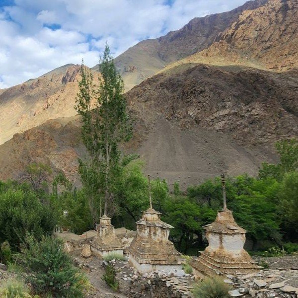 Tar Village, Ladakh: Discover India's Award-Winning Hidden Gem for Responsible Tourism